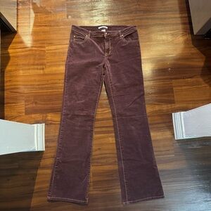 CAbi Maroon Pants